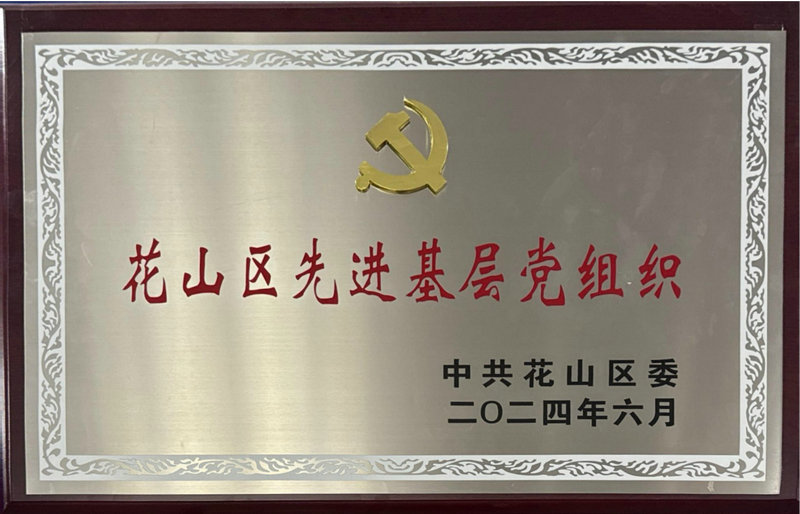 花山区先进基层党组织