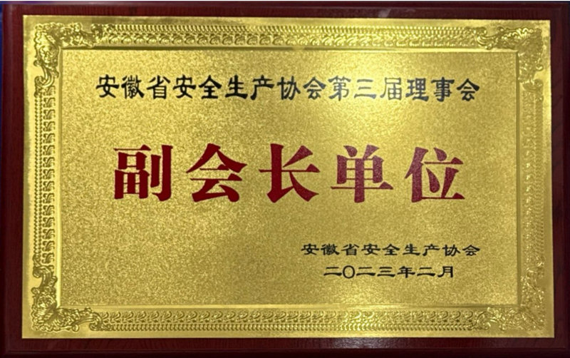安徽省安全生产协会第三届理事会副会长单位